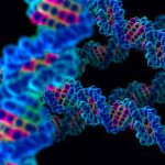 Clues in human genome used by Scientists to find new inflammatory syndrome