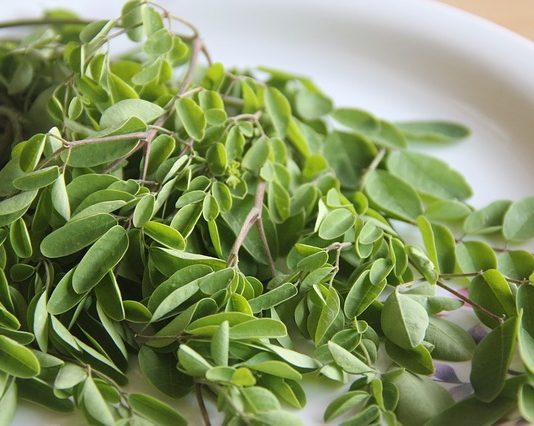 Multiple health benefits of Moringa leaves Moringa