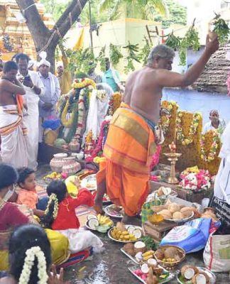 Marriage for Neem tree