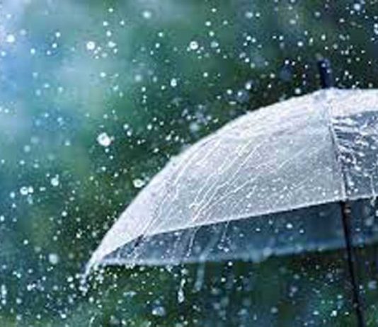 Rains