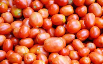 Tomato PRICE