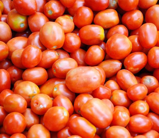 Tomato price crashes in Hosur, Krishnagiri Tomato PRICE