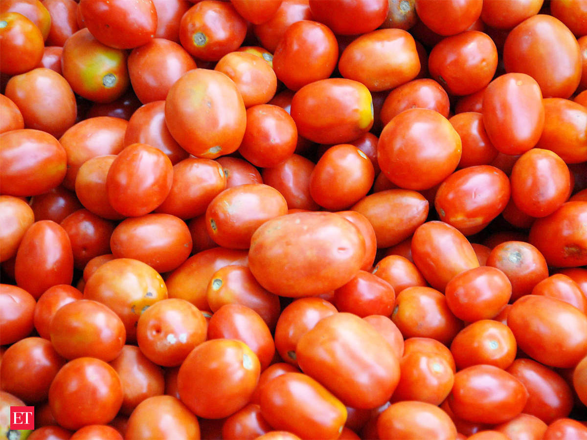 Tomato PRICE